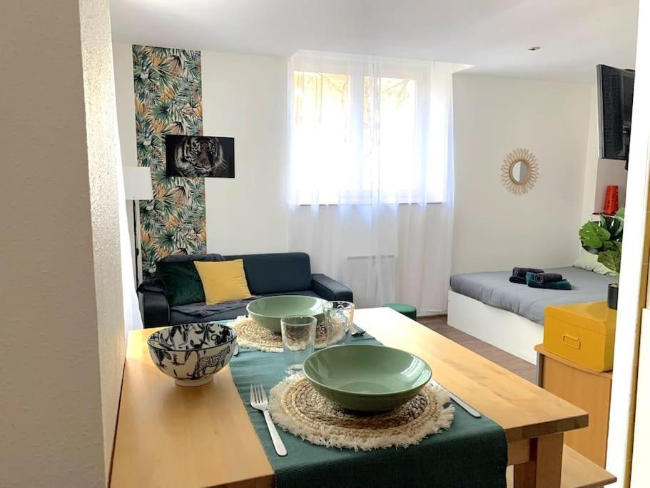 Apartment F1 Equipe Proche Tram - Jungle *